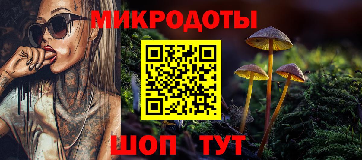 Псилоцибиновые грибы MAGIC MUSHROOMS Калининград