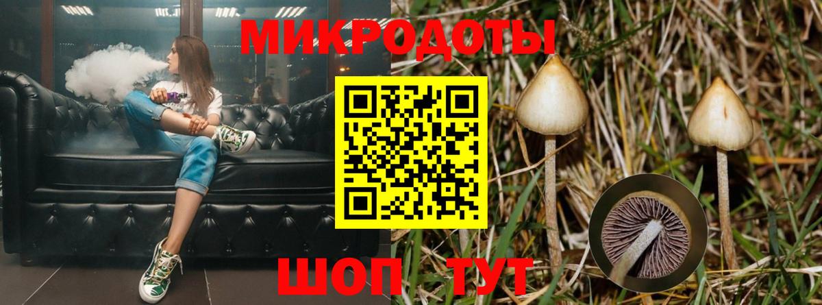 цены   Псилоцибиновые грибы Magic Shrooms  Вход с VPN  Калининград 